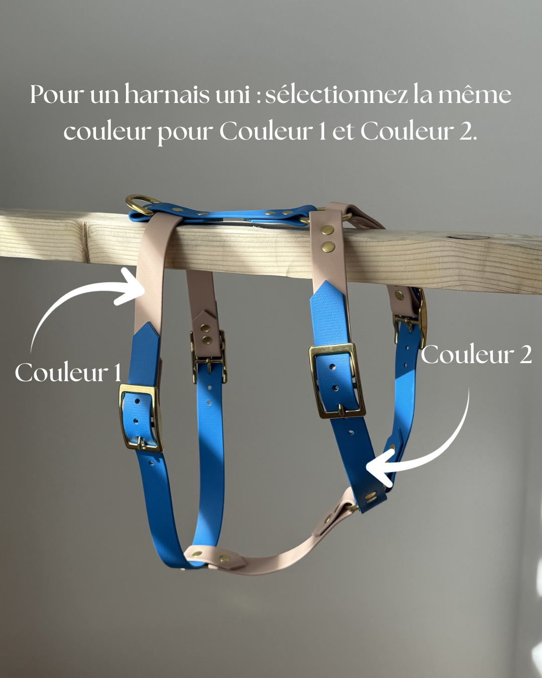 Harnais Y - Réglable aux épaules et au ventre