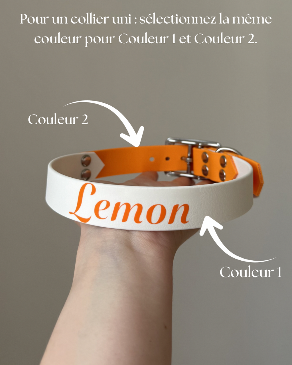 Collier FUSION